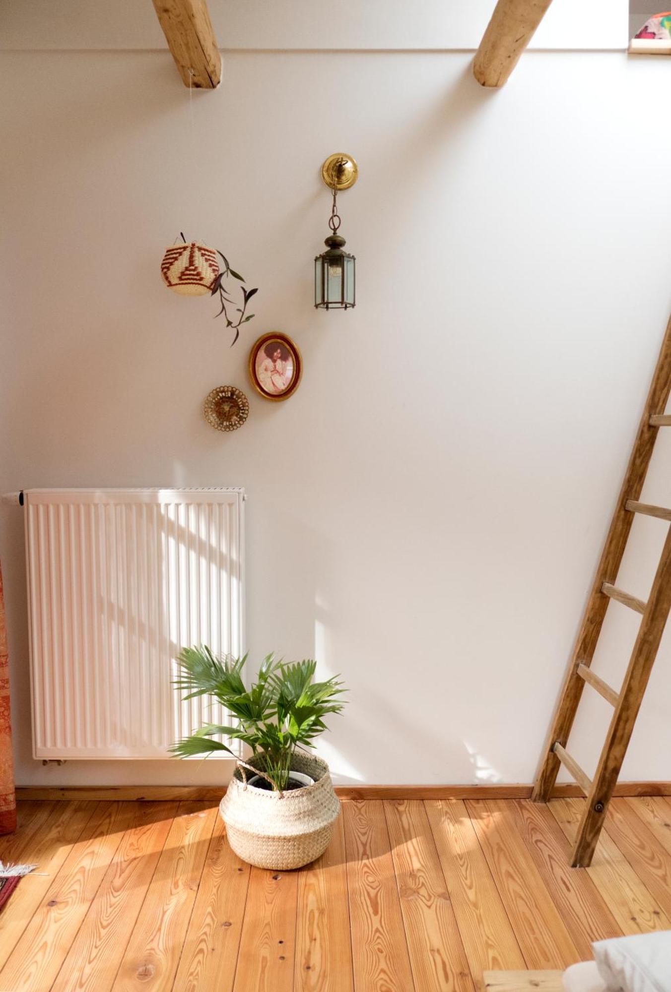 バート・コールグループ Waldschlucht Bed & Breakfast エクステリア 写真
